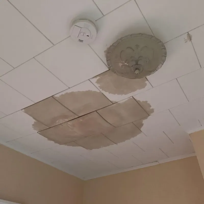 Ceiling Water Damage Repair in Bryan, OH