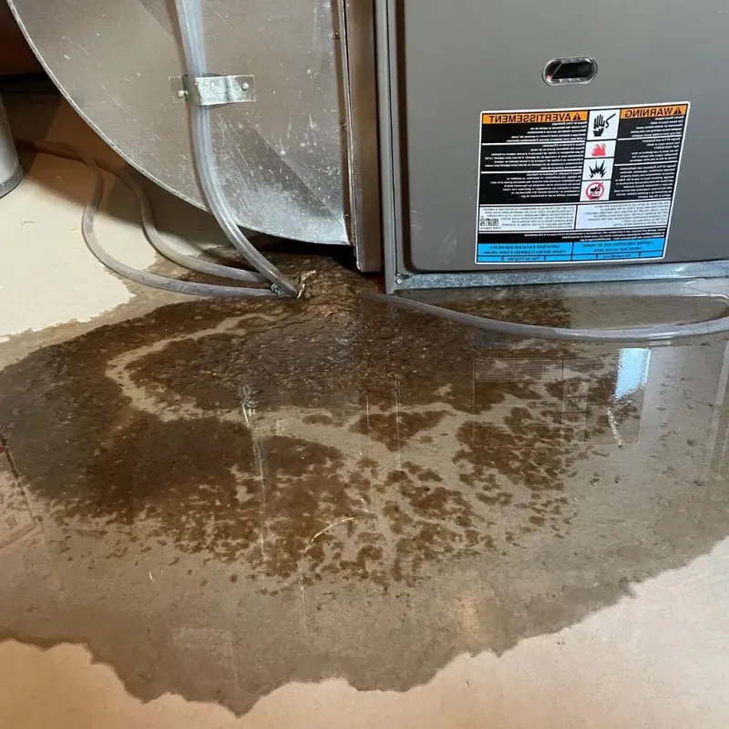 Pipe Burst and Leak Restoration in Bryan, OH